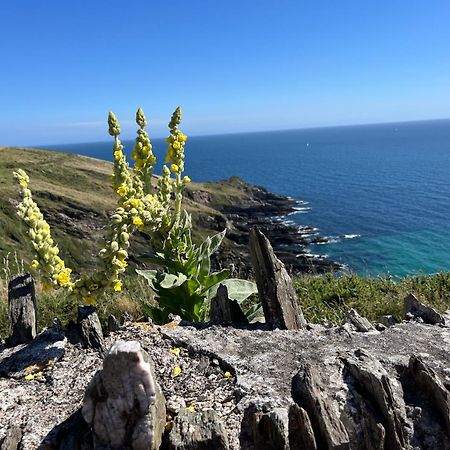 Pilchards Cottage Noss Mayo Ngoại thất bức ảnh